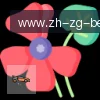 BB体育 logo