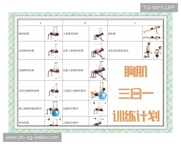 健身新手如何制定科学的器械训练计划?